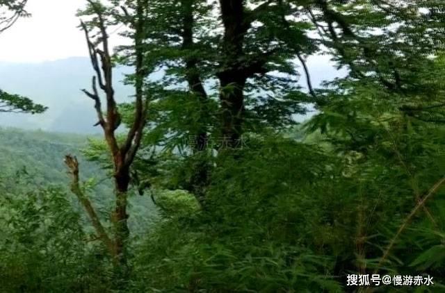 冷空气即将来袭!25日前河南气温持续偏低