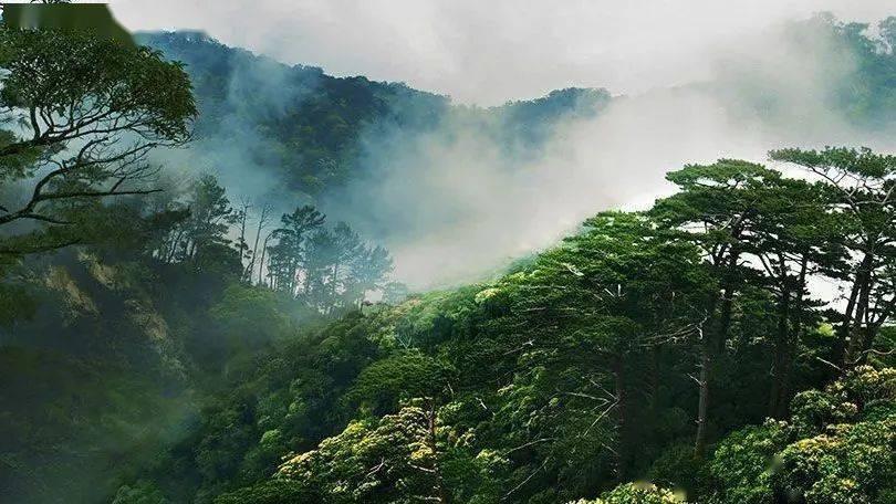 罗马诺:拜仁签阿萨雷花费650万,球员效力B队&在一线队训练