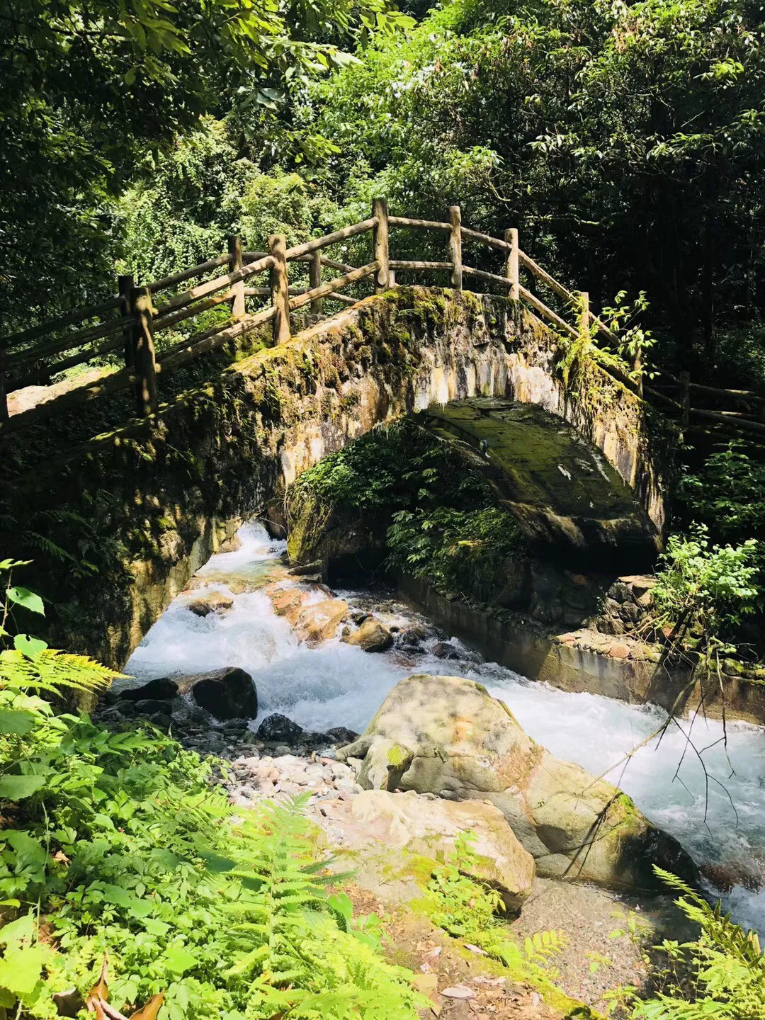 燃烧吧大脑免广告最新版