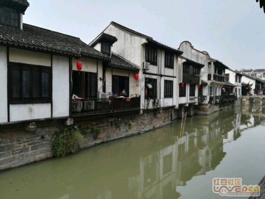 破碎的动物图形3